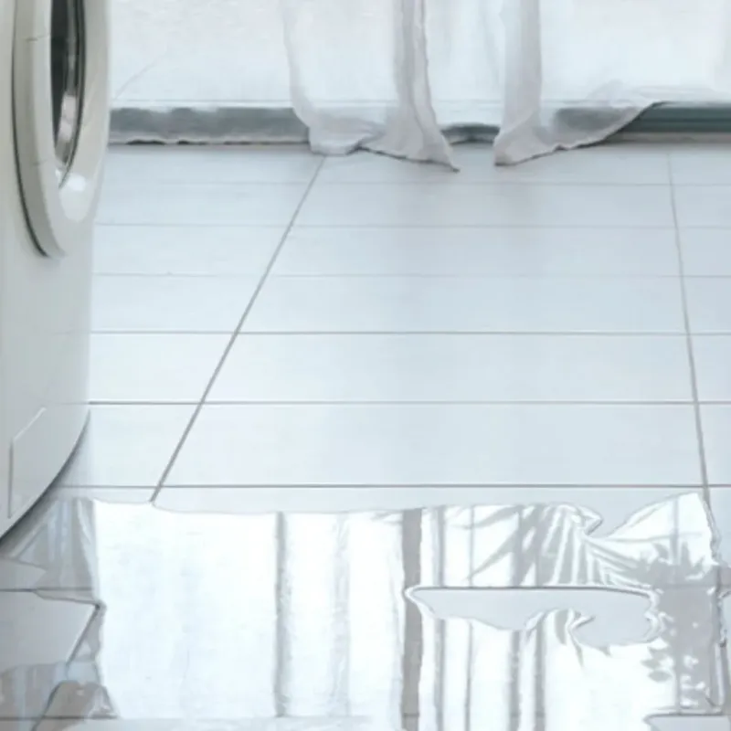 Appliance Leak Cleanup in Tifton, GA