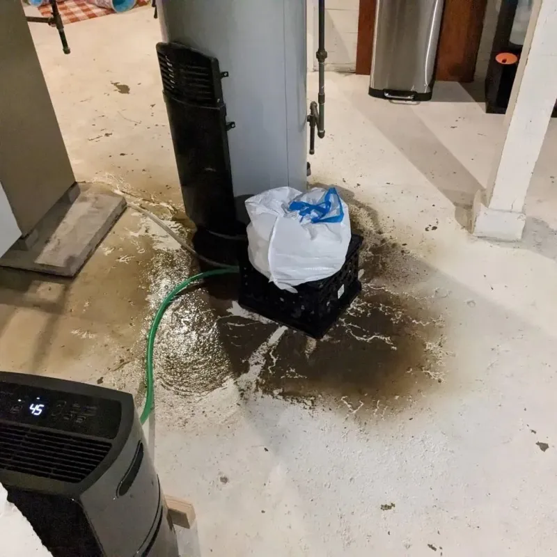 Sewage Backup Cleanup Service in Tifton, GA